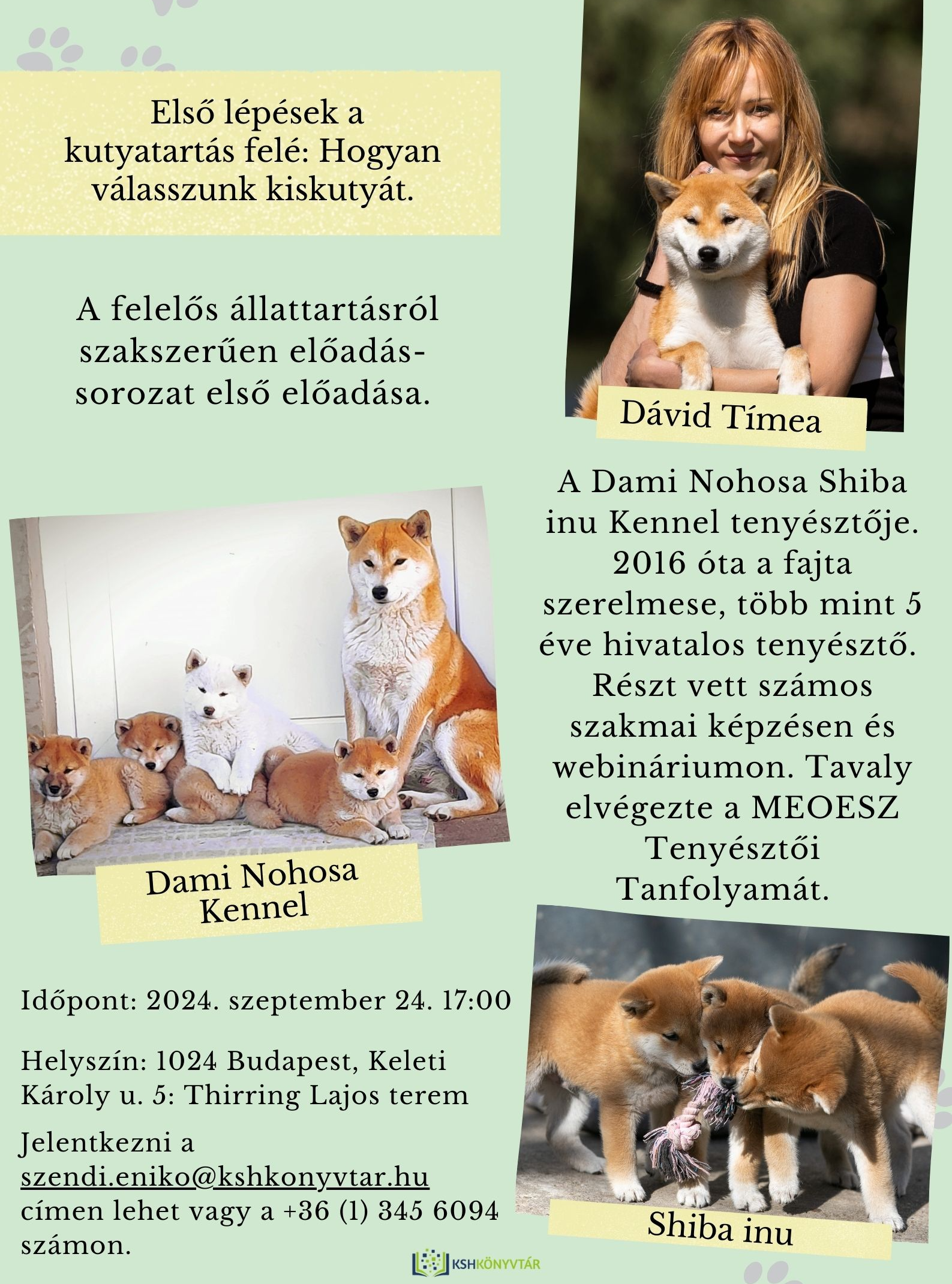 Első lépések a kutyatartás felé: Hogyan válasszunk kiskutyát