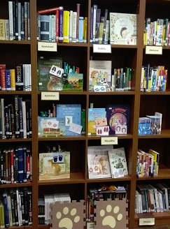 A Bibó István terembe 2024 novemberében és decemberében beválogatott könyvek