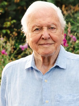 2026. május 8-án 100 éves Sir David Attenborough, angol természettudós, dokumentumfilmes, az ismeretterjesztő televízióműsorok egyik úttörője