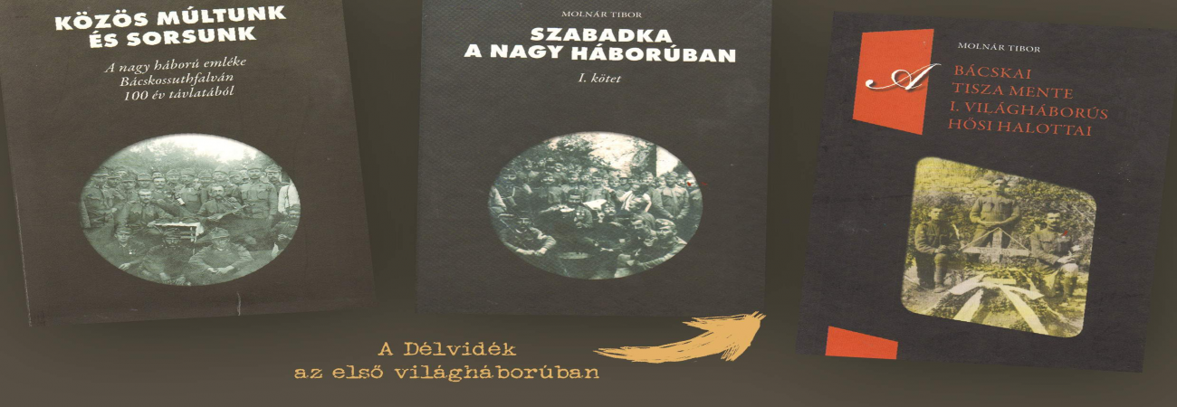 A Délvidék a XX. században