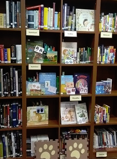 Az olvasótermekbe 2025 májusában beválogatott könyvek